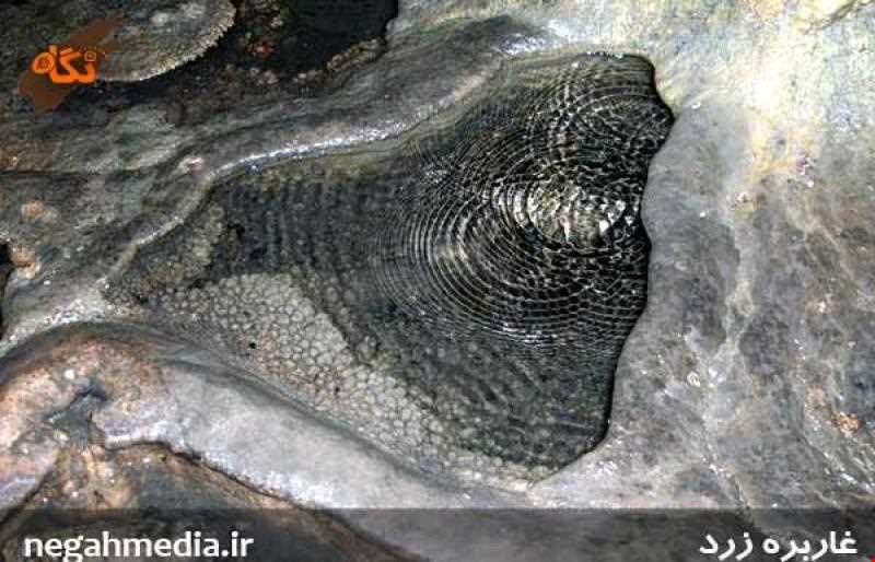 غار بره زرد