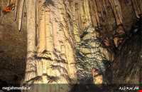 غار بره زرد