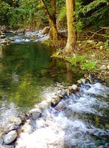 رودخانه شفارود