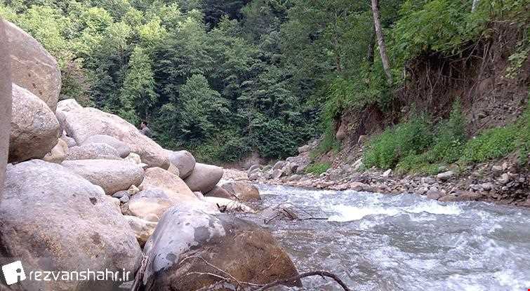 رودخانه شفارود