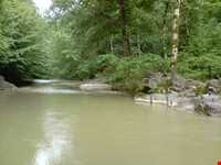 رودخانه شفارود