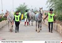Zayandehrud Resort Village