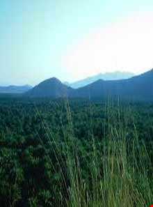 روستای تزرج