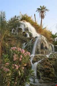 روستای تزرج