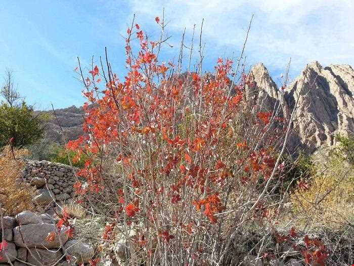 روستای بخوان