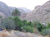 روستای بخوان