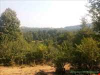 آبشار دزده ( درویشان )