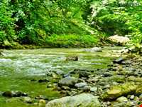 آبشار ویسادار