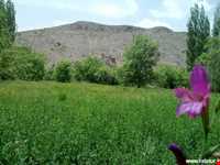 چشمه عروس رابر