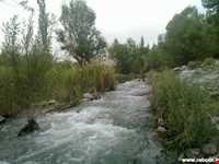 چشمه عروس رابر