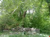 چشمه عروس رابر