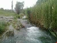 چشمه عروس رابر