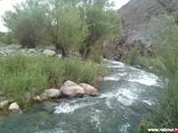 چشمه عروس رابر