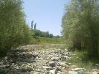 چشمه عروس رابر