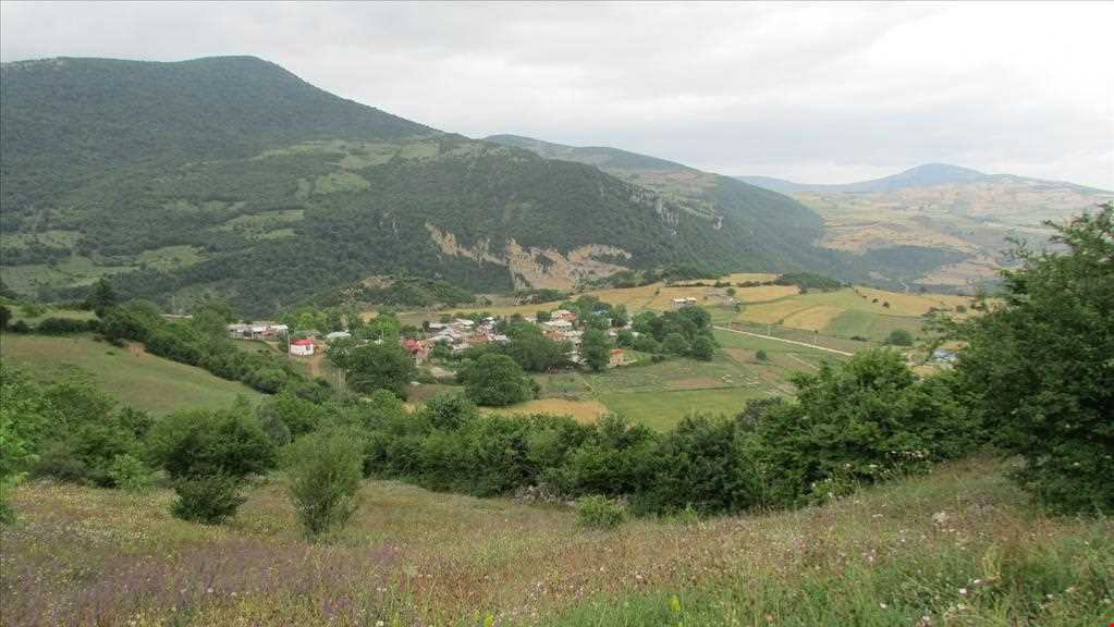 روستای الارز