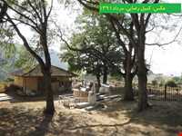 روستای الارز