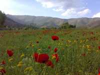 روستای نژو