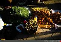 سه شنبه بازار املش