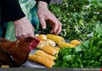 سه شنبه بازار املش