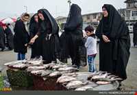 سه شنبه بازار املش