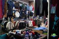  Language and dialectic