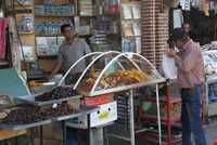  Language and dialectic