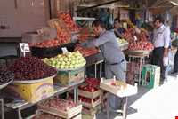  Language and dialectic