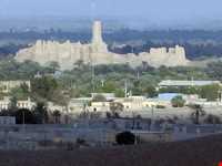 قلعه منوجان