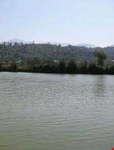 تالاب زربیجار