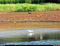 تالاب زربیجار