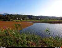 تالاب زربیجار