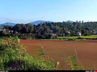 تالاب زربیجار