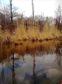 آبشار ده بکری