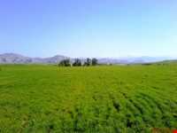 روستای شاه نشین