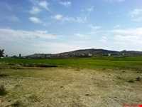 روستای شاه نشین