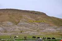 روستای شاه نشین