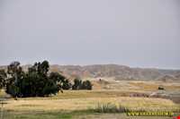 روستای شاه نشین