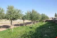 روستای شاه نشین