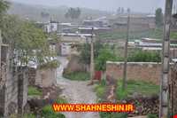 روستای شاه نشین