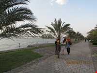 ارگ جدید بم