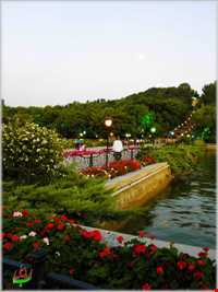 ایل گلی ( ائل گلی - شاه گولی )