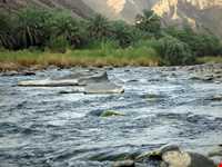 رودخانه سرباز