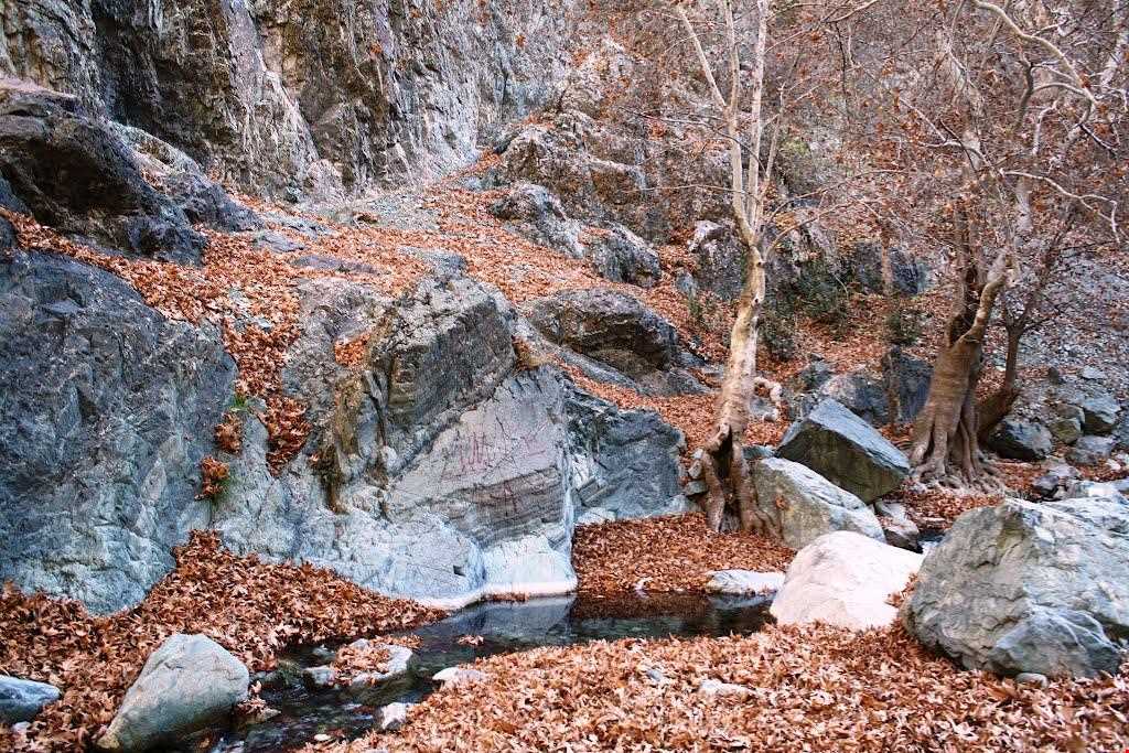 آبشار دره گلم دخترکش