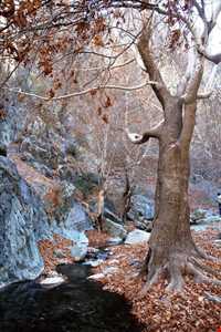 آبشار دره گلم دخترکش