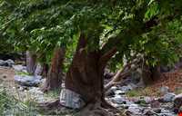 آبشار دره گلم دخترکش