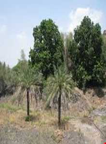 Farbodi Touristy Village