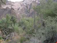 منطقه توریستی فربوری