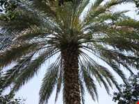 منطقه توریستی فربوری