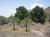 منطقه توریستی فربوری