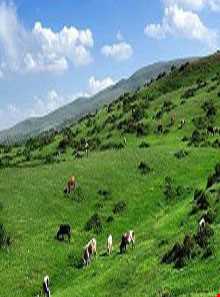 منطقه شکار ممنوع دیلمان و درفک